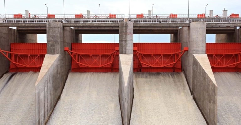 Hydraulic cylinders for storm dam gates and irrigation system gates